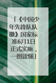 《中国少年先锋队队徽》国家标准6月1日正式实施，一图读懂