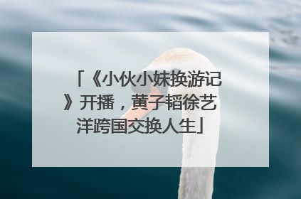 《小伙小妹换游记》开播，黄子韬徐艺洋跨国交换人生