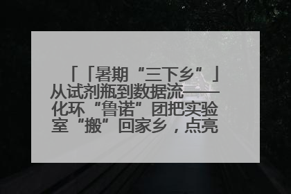 「暑期“三下乡”」从试剂瓶到数据流——化环“鲁诺”团把实验室“搬”回家乡，点亮桑梓求知路