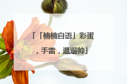 「楠楠自语」彩蛋，手雷，邋遢帅