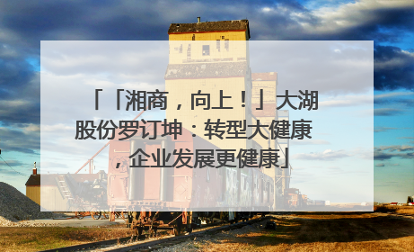 「湘商，向上！」大湖股份罗订坤：转型大健康，企业发展更健康