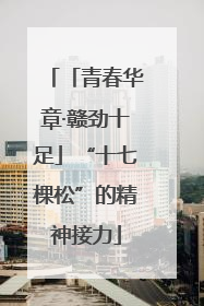 「青春华章·赣劲十足」“十七棵松”的精神接力