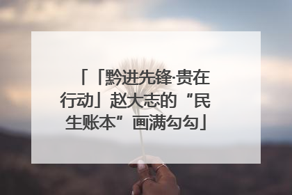 「黔进先锋·贵在行动」赵大志的“民生账本”画满勾勾