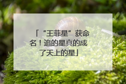 “王菲星”获命名！追的星真的成了天上的星