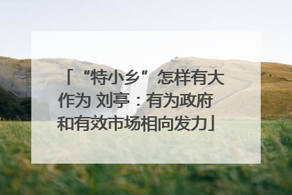 “特小乡”怎样有大作为 刘亭：有为政府和有效市场相向发力