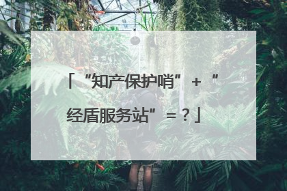 “知产保护哨”+“经盾服务站”=？