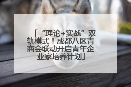 “理论+实战”双轨模式！成都八区青商会联动开启青年企业家培养计划