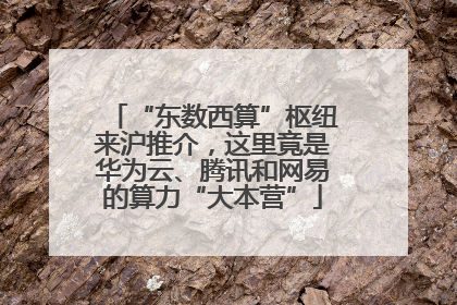 “东数西算”枢纽来沪推介，这里竟是华为云、腾讯和网易的算力“大本营”
