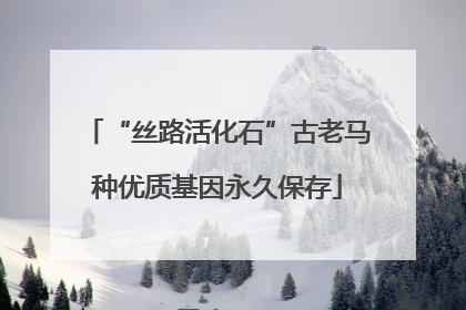 “丝路活化石”古老马种优质基因永久保存