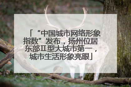 “中国城市网络形象指数”发布，扬州位居东部Ⅱ型大城市第一，城市生活形象亮眼