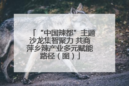 “中国辣都”主题沙龙集智聚力 共商萍乡辣产业多元赋能路径（图）