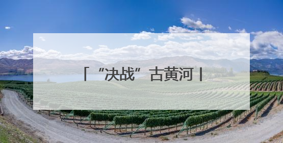 “决战”古黄河丨2025端午龙舟赛“巅峰相见”