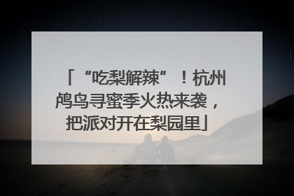 “吃梨解辣”！杭州鸬鸟寻蜜季火热来袭，把派对开在梨园里