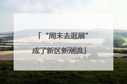 “周末去逛展”成了新区新潮流
