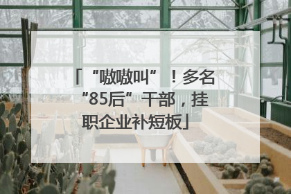 “嗷嗷叫”！多名“85后”干部，挂职企业补短板