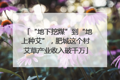 “地下挖煤”到“地上种艾”，肥城这个村艾草产业收入破千万