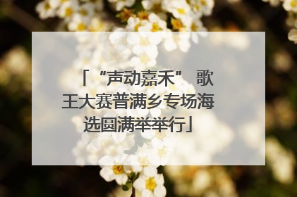 “声动嘉禾” 歌王大赛普满乡专场海选圆满举举行