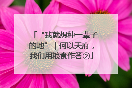 “我就想种一辈子的地”｜何以天府，我们用粮食作答②