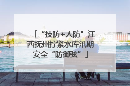 “技防+人防”江西抚州拧紧水库汛期安全“防御弦”
