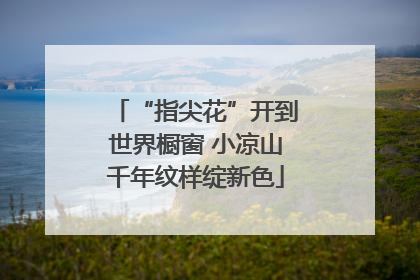 “指尖花”开到世界橱窗 小凉山千年纹样绽新色