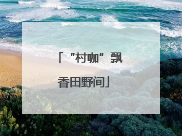 “村咖”飘香田野间