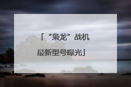 “枭龙”战机最新型号曝光