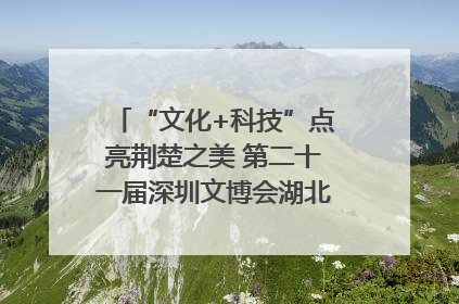 “文化+科技”点亮荆楚之美 第二十一届深圳文博会湖北馆抢“鲜”看