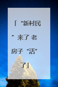 “新村民”来了 老房子“活”了