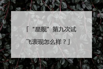 “星舰”第九次试飞表现怎么样？