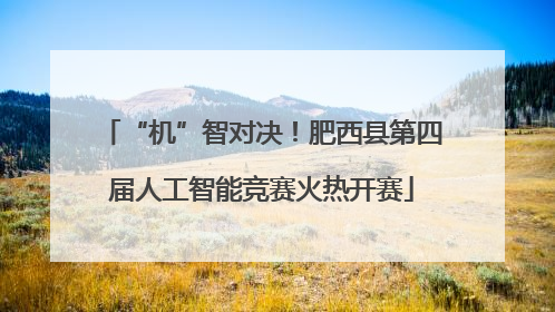 “机”智对决！肥西县第四届人工智能竞赛火热开赛