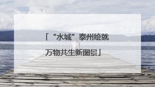 “水城”泰州绘就万物共生新图景