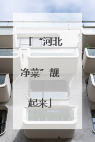 “河北净菜”靓起来