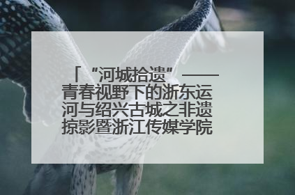 “河城拾遗”——青春视野下的浙东运河与绍兴古城之非遗掠影暨浙江传媒学院小学期来绍
