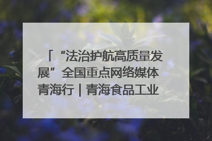 “法治护航高质量发展”全国重点网络媒体青海行｜青海食品工业协会：架起“青字号”美食的产业化桥梁