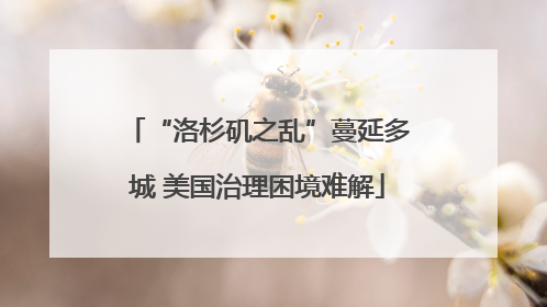 “洛杉矶之乱”蔓延多城 美国治理困境难解