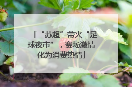 “苏超”带火“足球夜市”，赛场激情化为消费热情