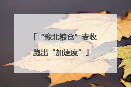 “豫北粮仓”麦收跑出“加速度”