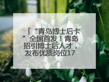 “青岛博士后卡”全国首发！青岛招引博士后人才，发布优质岗位1700余个