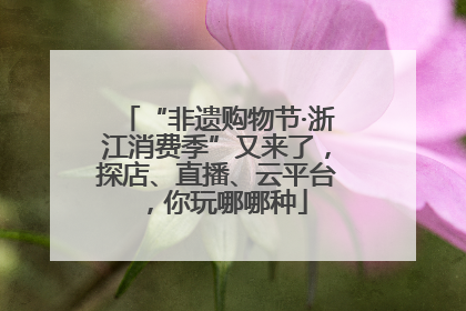 “非遗购物节·浙江消费季”又来了，探店、直播、云平台，你玩哪哪种