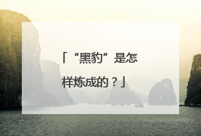 “黑豹”是怎样炼成的？