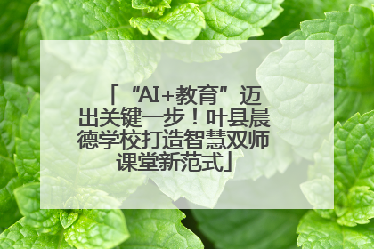 “AI+教育”迈出关键一步！叶县晨德学校打造智慧双师课堂新范式