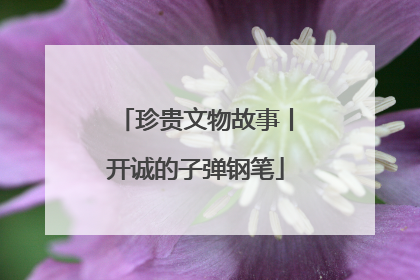 珍贵文物故事丨开诚的子弹钢笔