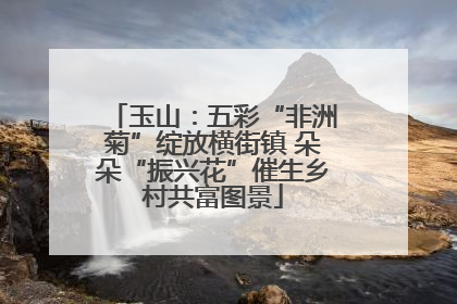 玉山：五彩“非洲菊”绽放横街镇 朵朵“振兴花”催生乡村共富图景