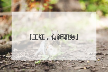 王红，有新职务