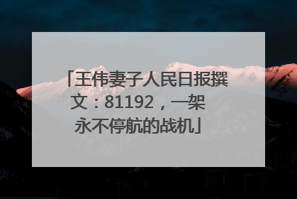 王伟妻子人民日报撰文：81192，一架永不停航的战机