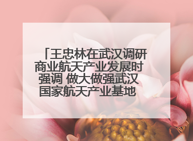 王忠林在武汉调研商业航天产业发展时强调 做大做强武汉国家航天产业基地 打造具有全国影响力的“中国星谷”
