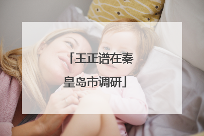 王正谱在秦皇岛市调研