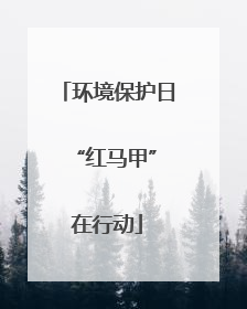 环境保护日 “红马甲”在行动