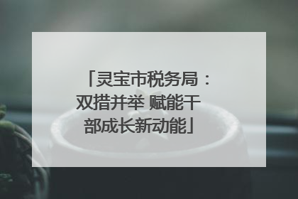 灵宝市税务局：双措并举 赋能干部成长新动能