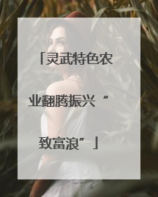 灵武特色农业翻腾振兴“致富浪”